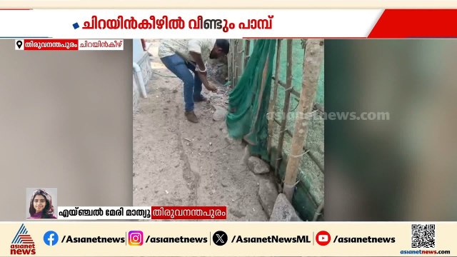 ചിറയിൻകീഴിൽ പാമ്പുകടിയേറ്റ് മരിച്ച ദക്ഷിലിന്റെ അയൽവാസിയുടെ വീട്ടിൽ നിന്ന് പാമ്പിനെ പിടികൂടി
