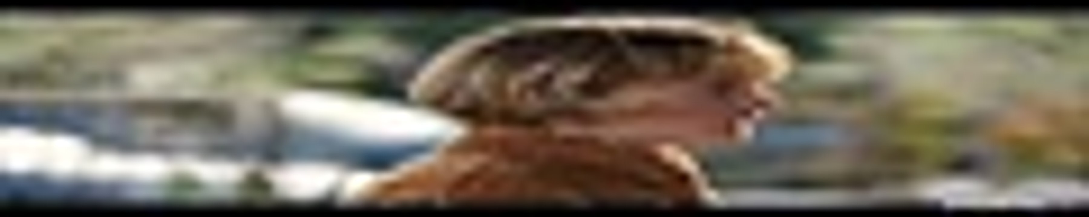 ...Beef ...S02E05 [Full Movie] [Watch Free Online]Full EP - Full ...