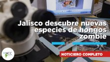 Jalisco descubre nuevas especies de hongos zombie | 858 | 27 de abril al 03 de mayo de 2026