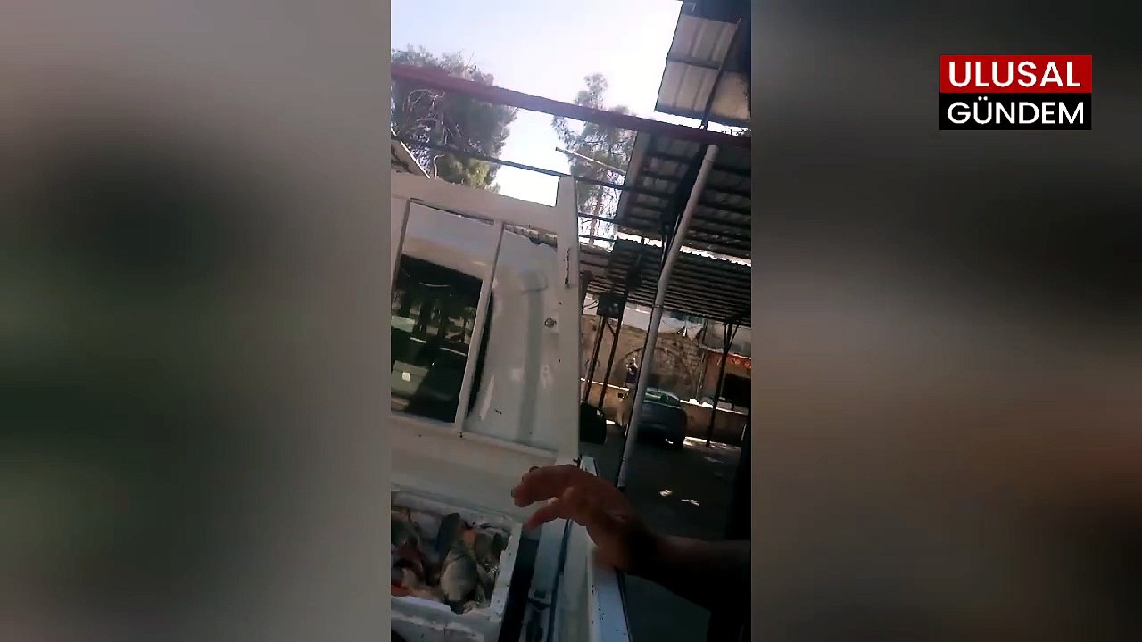 Şanlıurfa'da halk sağlığı denetimi: Seyyar satıcının balıklarına el konuldu