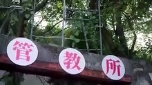 The fake sister’s game chinese drama [Multi Sub] [Full Movie] [Full Story]Full EP - Full