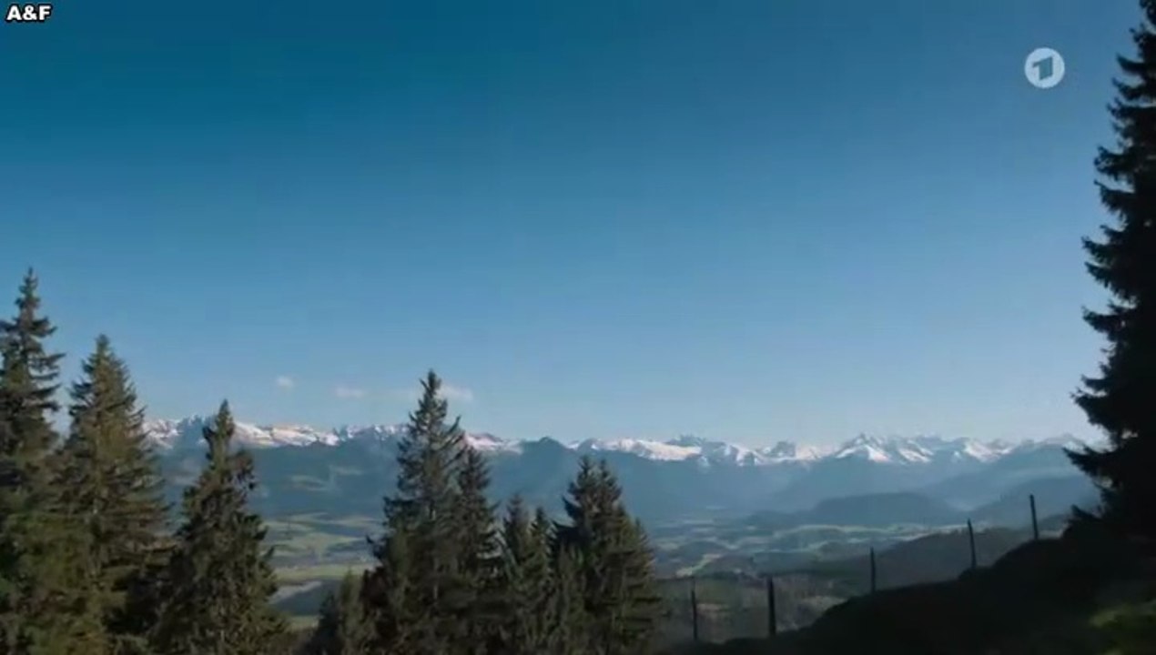 Daheim in den Bergen -04- Liebesleid