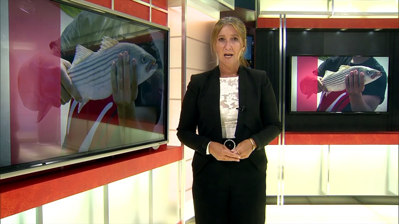 TVA Nouvelles CIMT 18h 24 avril 2026