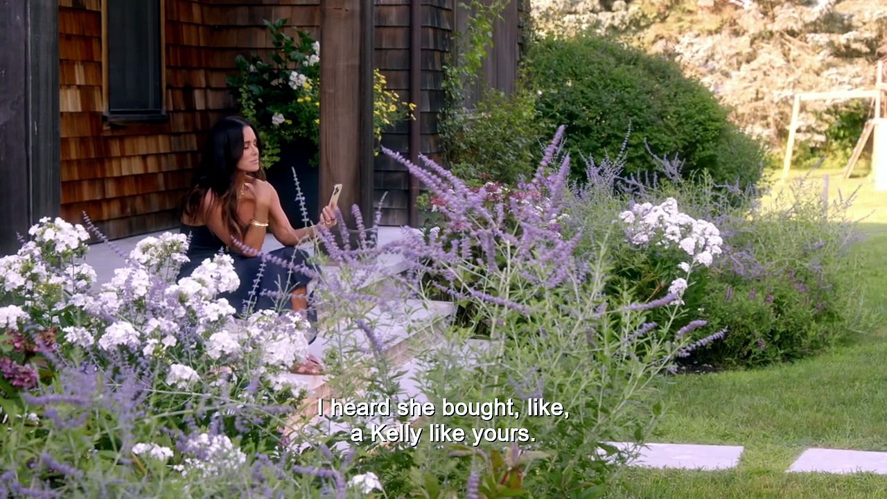 the housewives of beverly hills s15e20 skyfire