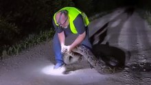 ¡Luchó contra una PITÓN de 5 metros en la oscurida