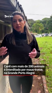 Canil com mais de 200 animais é interditado por maus-tratos na Grande Porto Alegre
