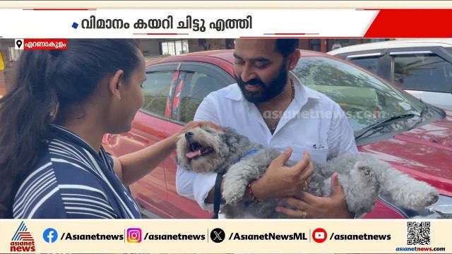 ചിട്ടു വിമാനം കയറി കൊച്ചിയിൽ എത്തി; വളർത്തുനായയെ തിരികെ ലഭിച്ച സന്തോഷത്തിൽ ഉടമകൾ