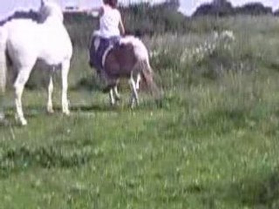 chouchou a cru au pré