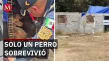 Vecinos descubren foco de infección y maltrato animal extremo en Tlalpan