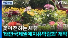 꽃이 전하는 치유...'태안국제원예치유박람회' 개막 / YTN