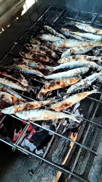 Sinugbang malangsi