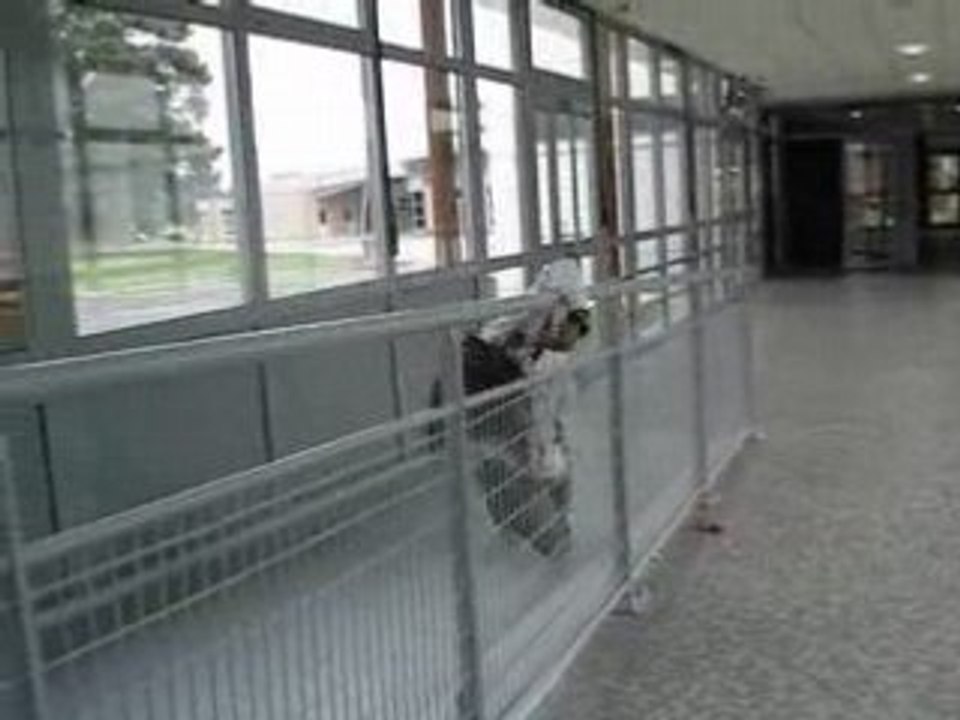 MOV02010