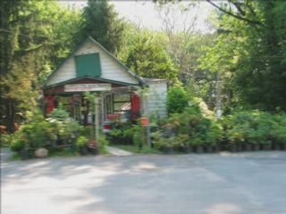 Galcsiki Janos - elszegodnek budapestre mackonak