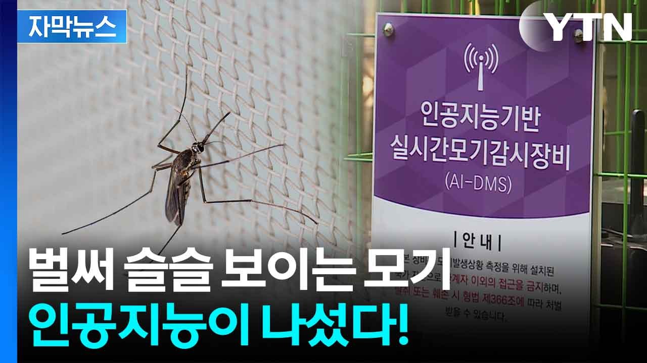 [자막뉴스] 여름철 불청객 모기...이제 AI로 실시간 감시 / YTN