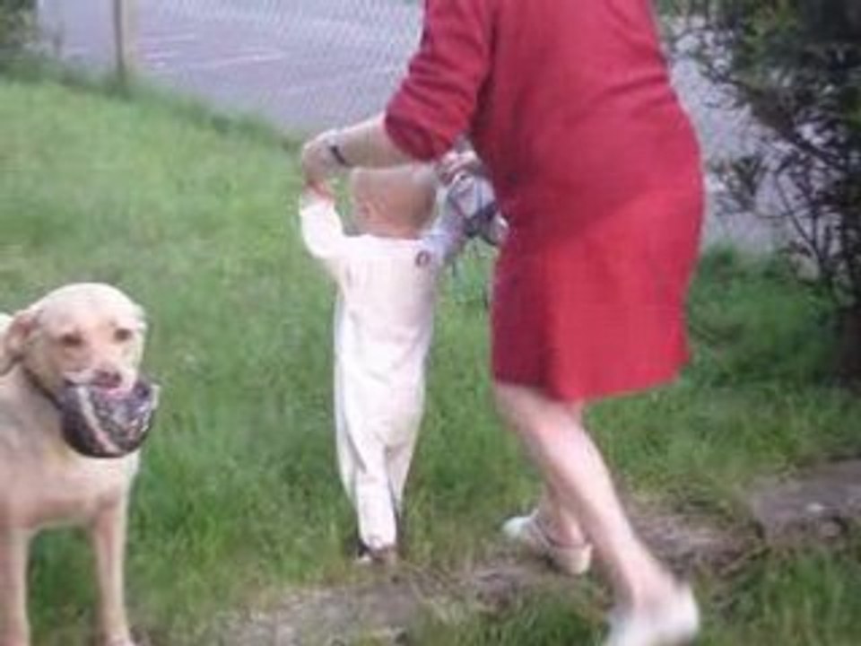 L'herbe de mon jardin