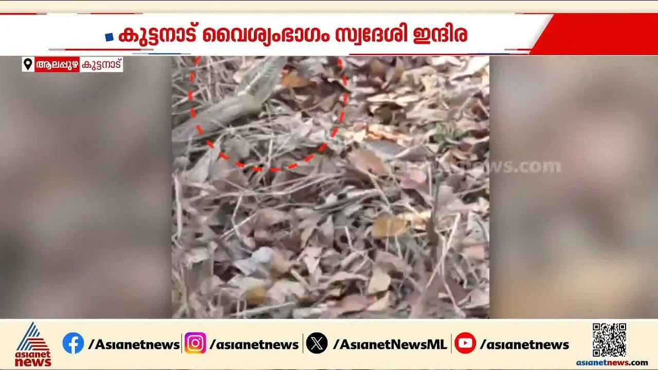 പാമ്പുകടിയേറ്റ് വീട്ടമ്മ മരിച്ച സംഭവം; ഇന്ദിരയെ കടിച്ചതെന്ന് കരുതുന്ന പാമ്പിൻ്റെ ദൃശ്യങ്ങൾ