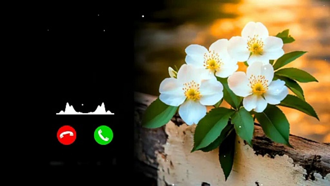 New Ringtone Mp3 Ringtone Hindi Ringtone caller tune romantic ringtone
