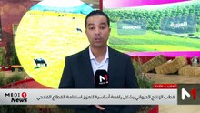 المنتصف - 24/04/2026