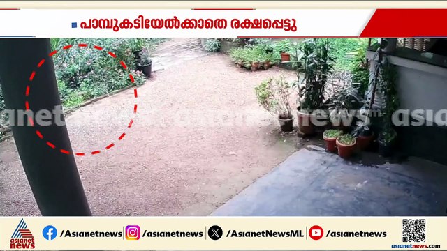 ചെടിച്ചട്ടിയില്‍ നിന്നും പാമ്പ്; പെണ്‍കുട്ടി രക്ഷപെട്ടത് തലനാരിഴക്ക്
