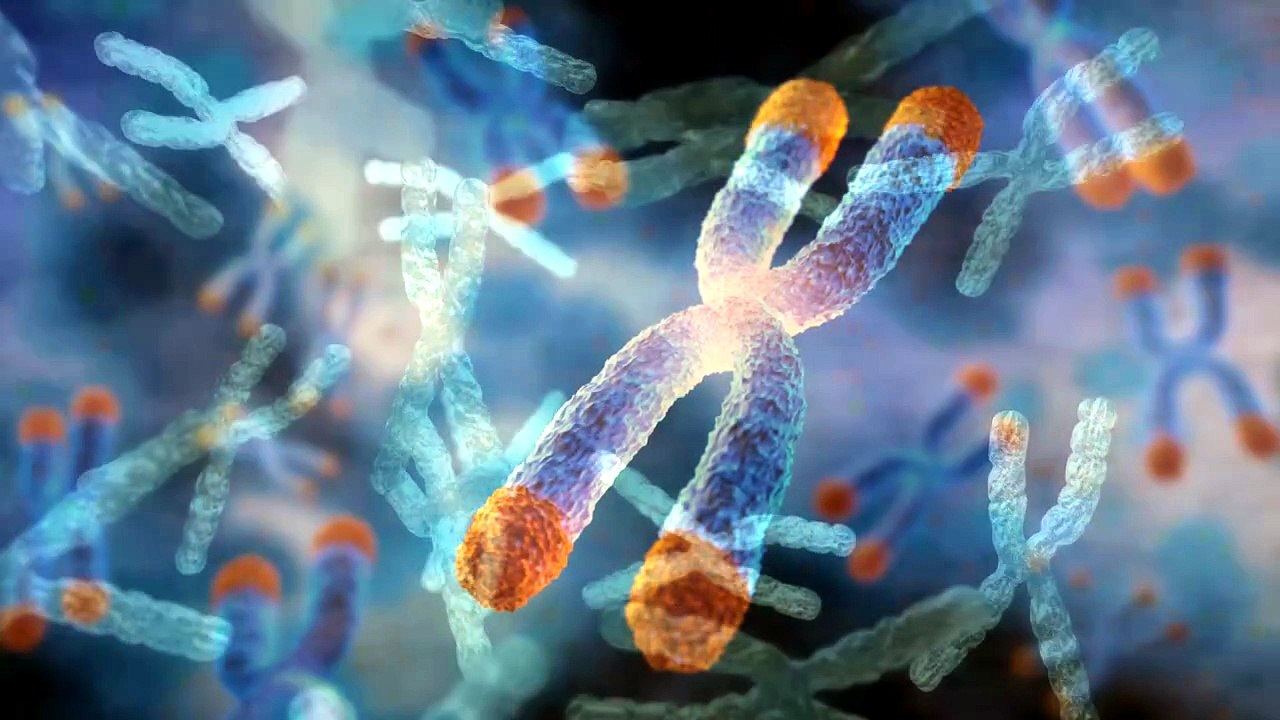 We Aged Cells On Camera (The Physics Behind Getting Old)