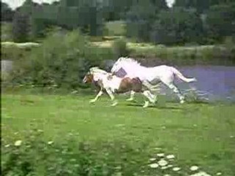 encor galop ds le pré