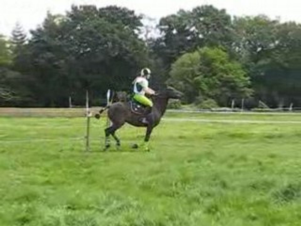 Clem' & Nevez départ cross D2p