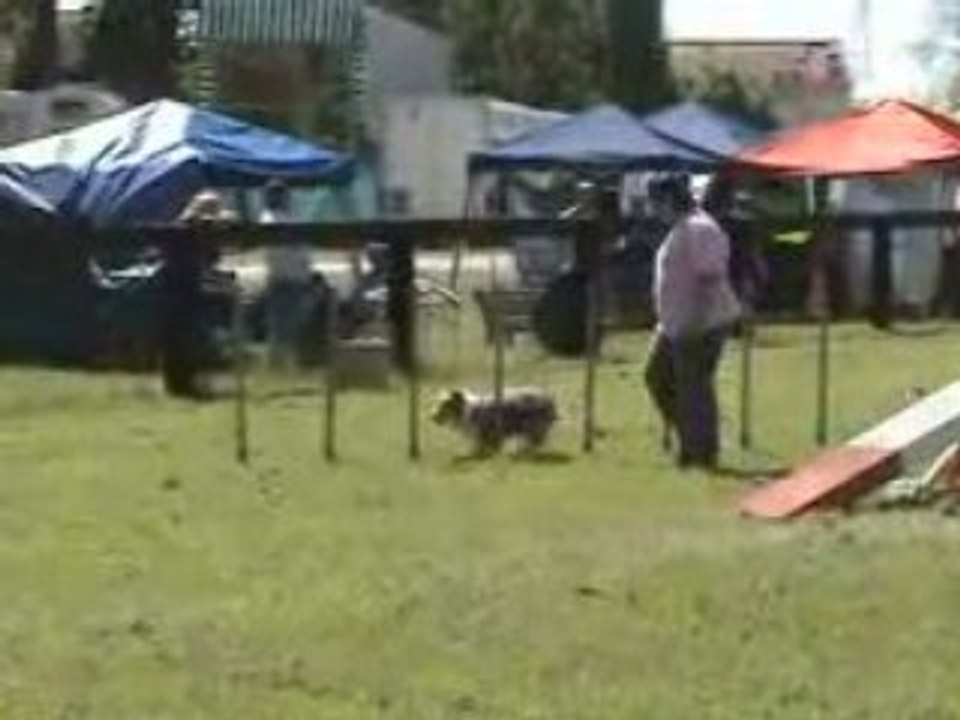 24. Gpf Vamps 8 juin 2008