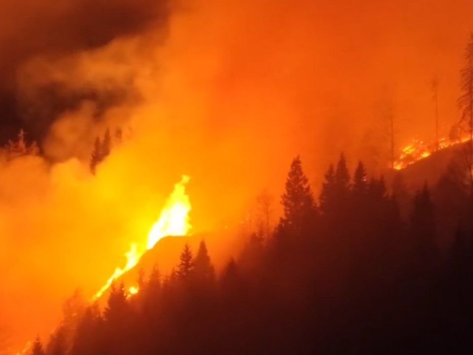 110 Hektar in Flammen: Waldbrand wütet in Österreich