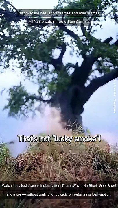 Mein Vorfahr über Nacht viral | Ganzer Film Deutsch