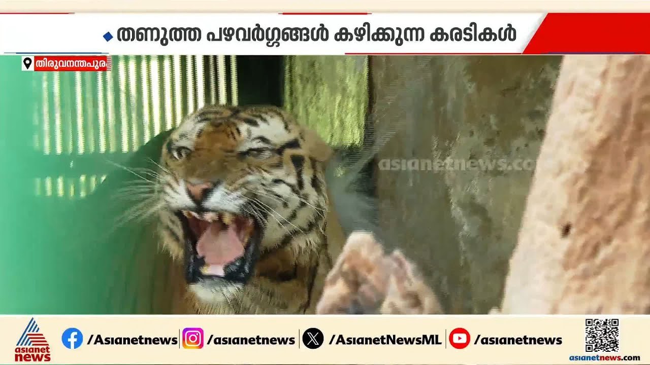 ചില്ല് മോഡ്... ACയിൽ കിടക്കുന്ന പാമ്പുകൾ; കാണാം...