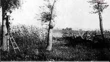Historical Photos of the Russo-Japanese War (7)