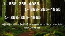 Coinbase® {Customer Wallet SuppoRt} Service™ — Toll-Free Numbers & Helpdesk Options