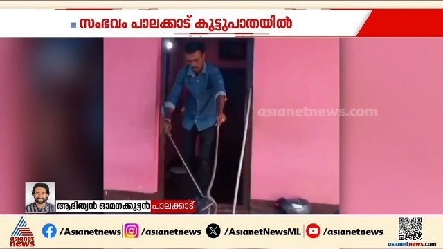 പാലക്കാട് വീടിനകത്ത് കിടപ്പുമുറിയിൽ മൂർഖൻ പാമ്പ്; സർപ്പ വളണ്ടിയർ പാമ്പിനെ പിടികൂടി | Palakkad