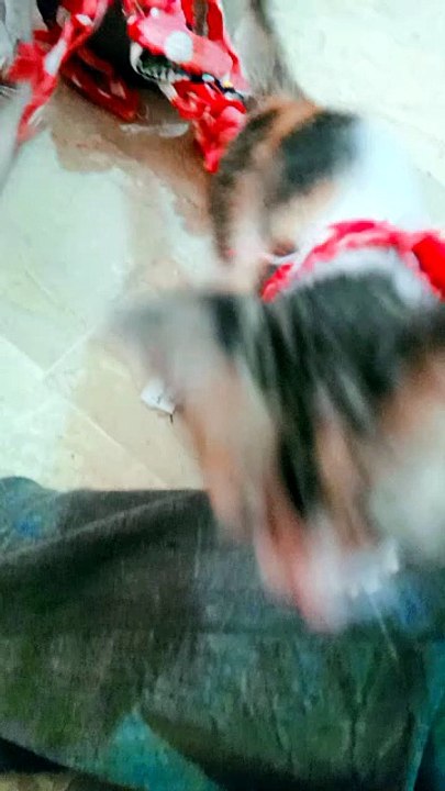 Funny video
