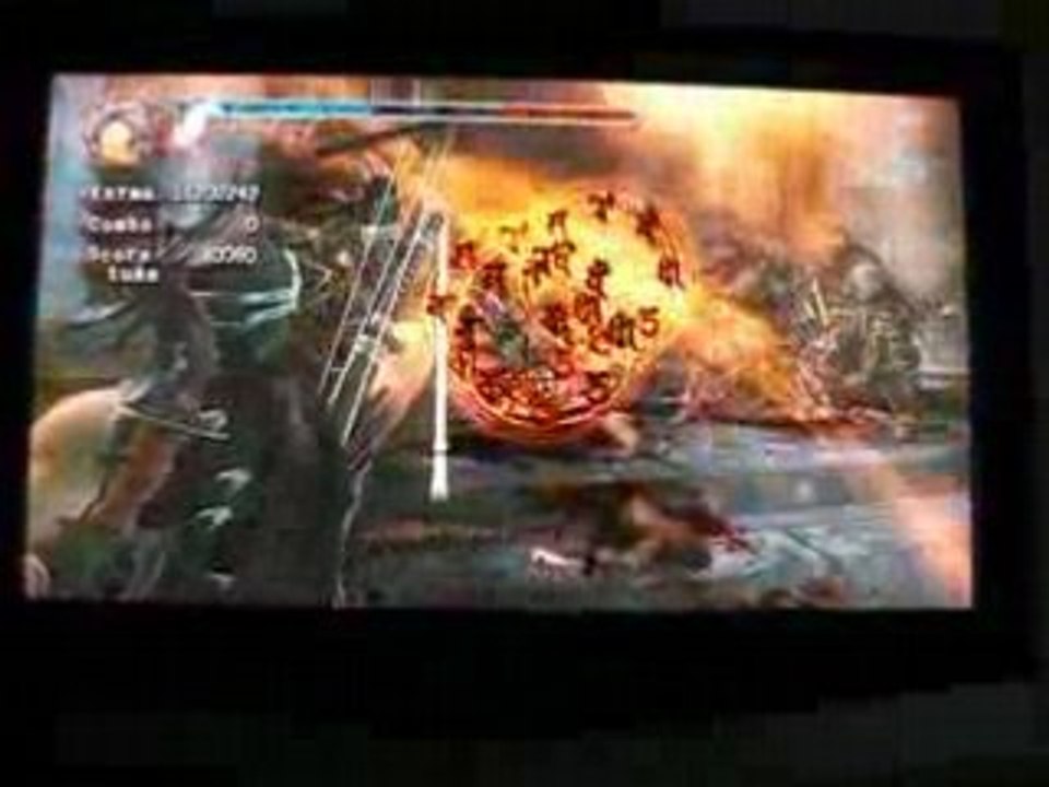 Ninja Gaiden 2  boucherie
