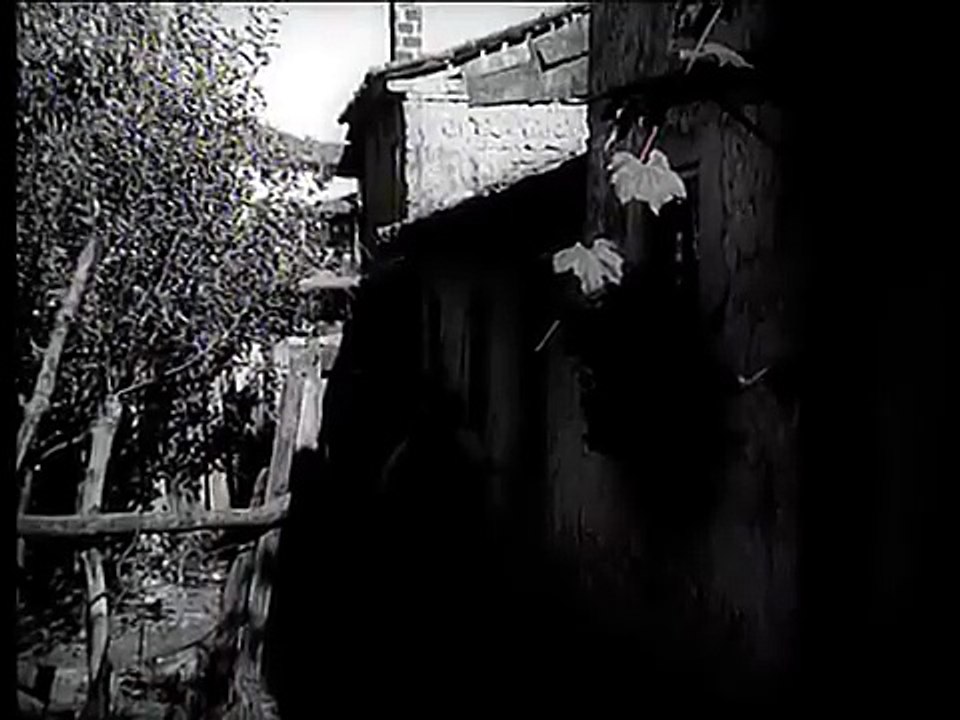 Mëngjeze lufte 1971