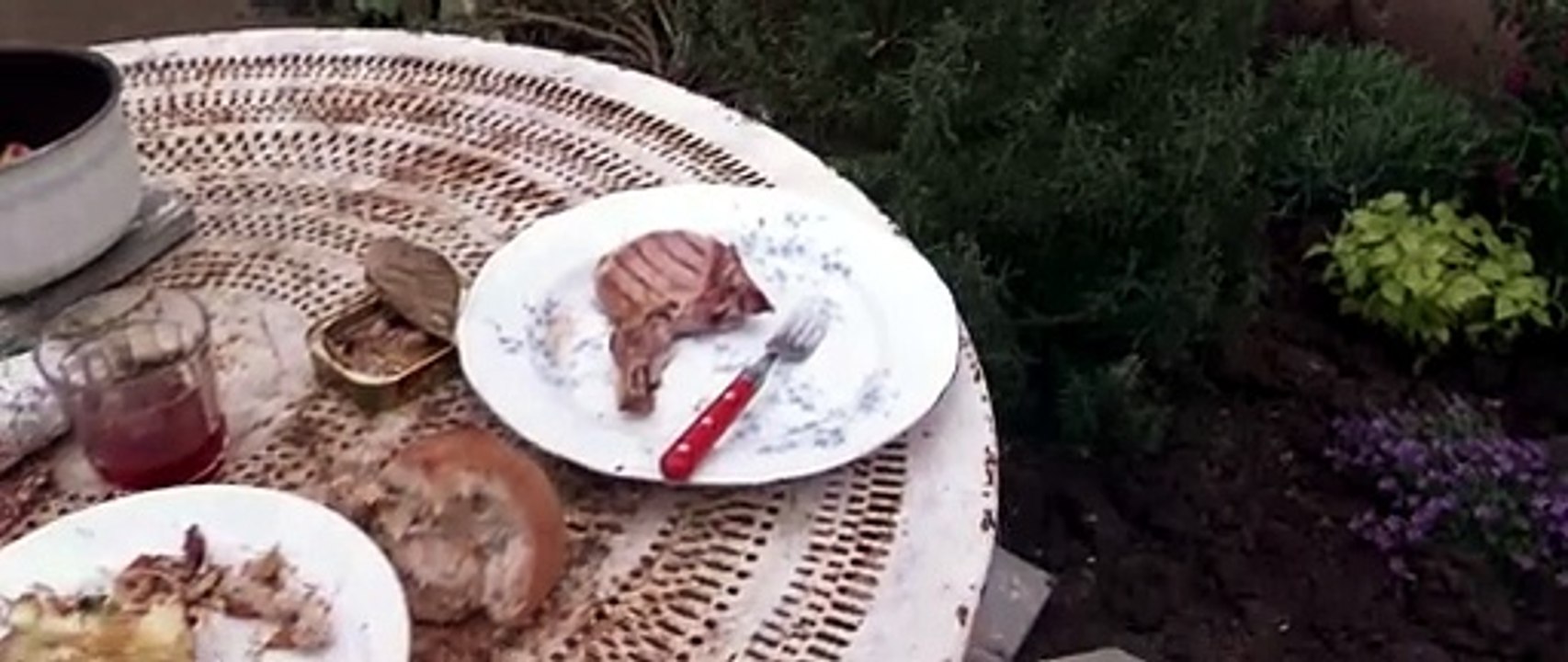 Das tödliche Wespennest