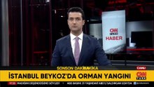 Beykoz'da ormanlık alanda çıkan yangın söndürüldü