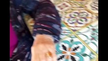 Carletto Life story con i nonni e gli amici