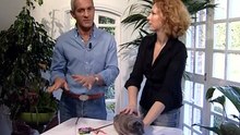 06 Enciclopedia Del Gatto - Il Korat