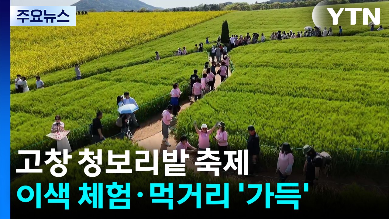 '연둣빛' 물결 넘실대는 청보리밭...축제 시민 발길 / YTN