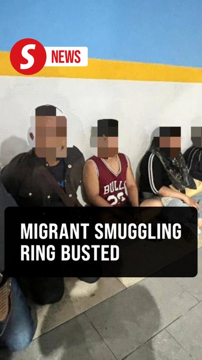 Immigration nabs 11 to foil migrant smuggling ops