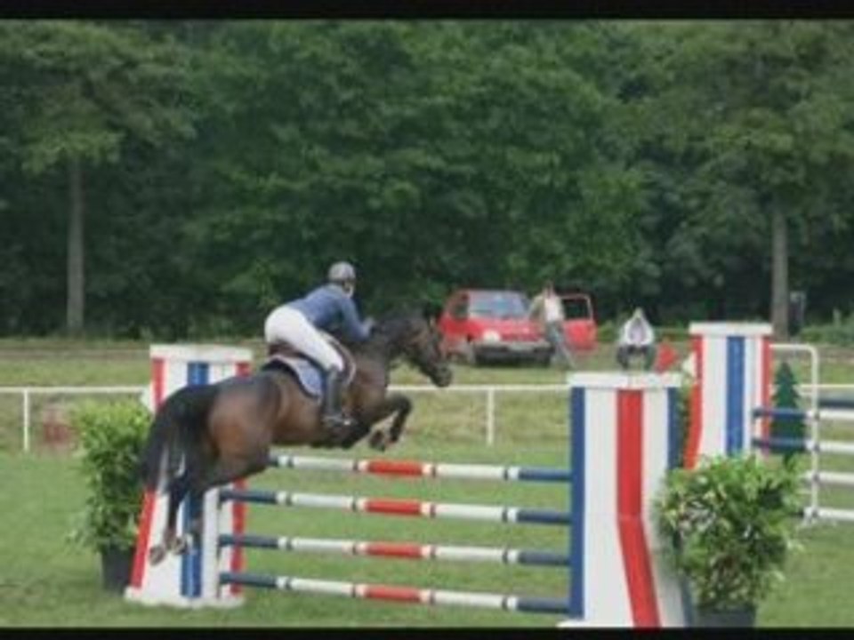 QLCJ 2008
