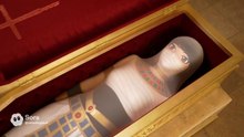 ストッキングを被った着ぐるみたち【AI Kigurumi】