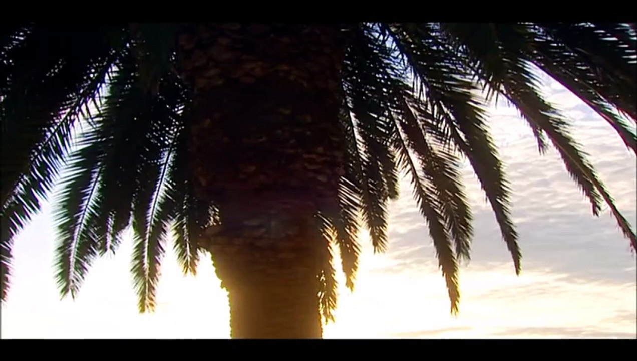 MONIKA MARTIN — La Luna blu