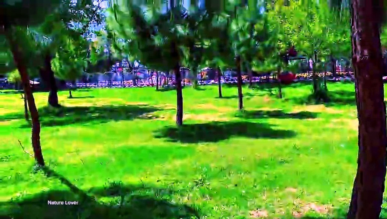 Lush Green Nature Landscape with Calm and Peaceful Atmosphere
