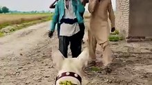 Dog….🐕😂 | Funniest Dog Moment Ever