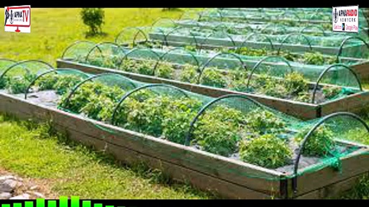 Agricultural Protection Nets – Protect Crops from Birds, Insects & Weather 26-04-2026