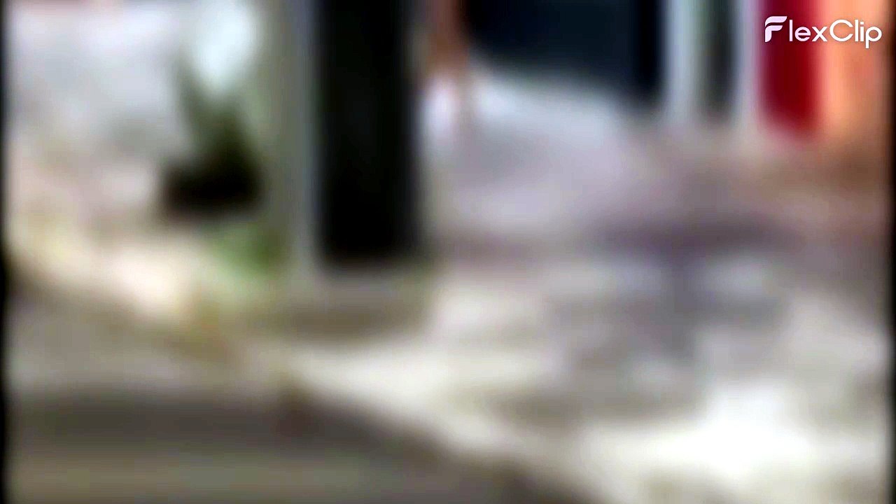 Peladão com tornozeleira eletrônica é flagrado correndo em avenida de Umuarama; veja o vídeo