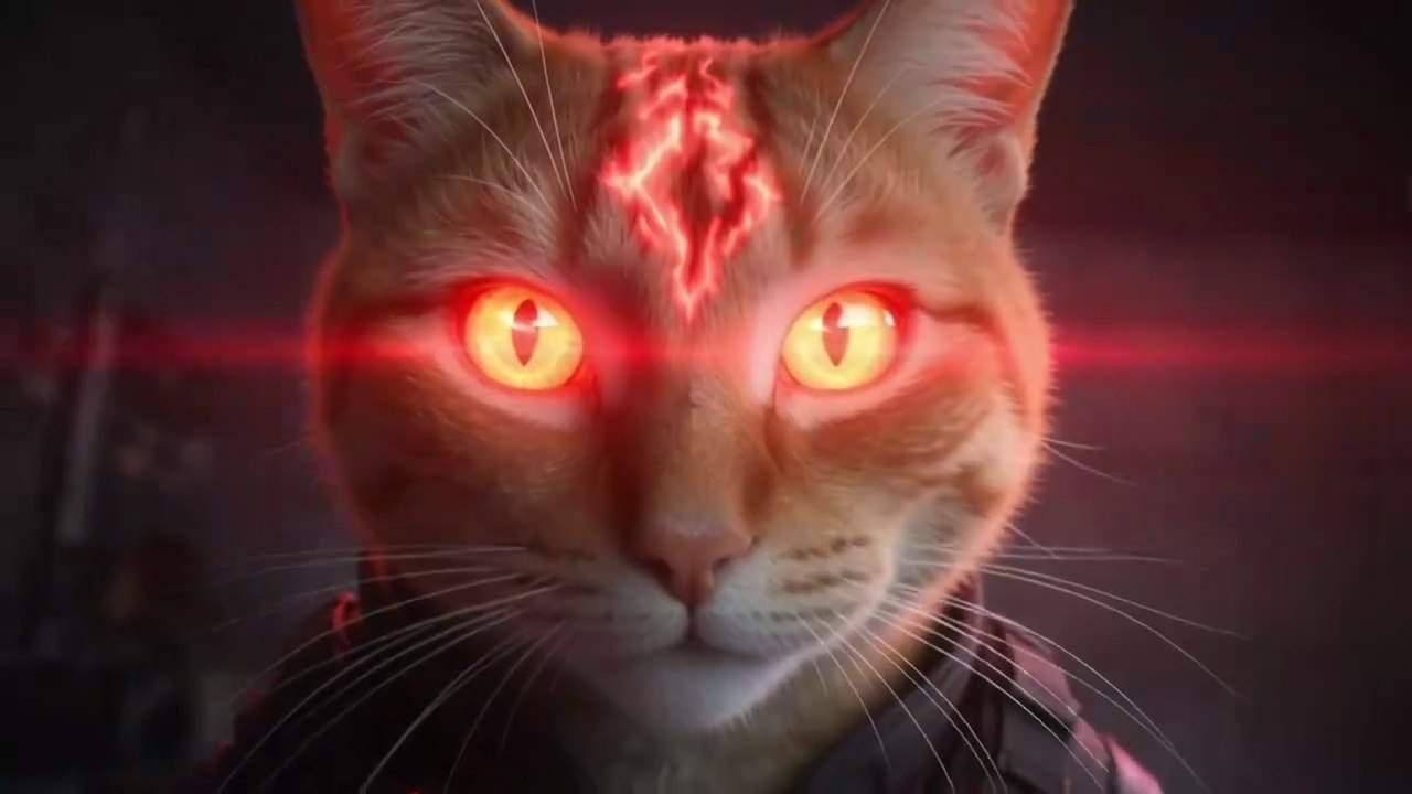 My cats are taking over!